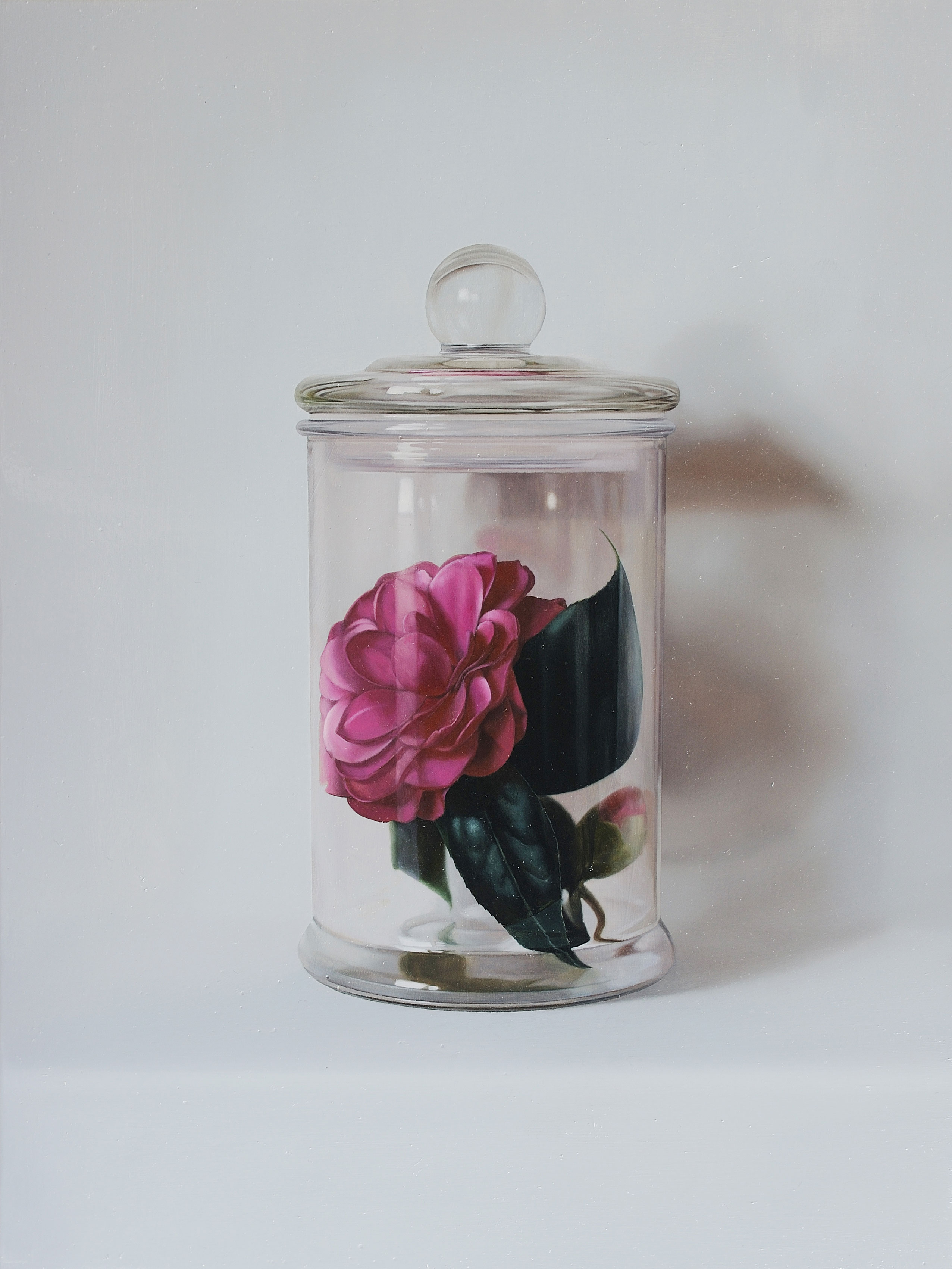 Expressed through Objects|借物抒情作品-Preserving Youth No.4|想留住點青春 No.4|,Oil on linen mounted on
								panel|油彩木板裱麻,35 x 27 cm|2010